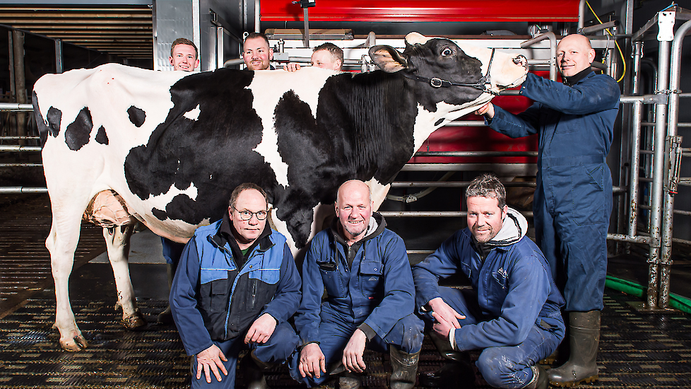 De Heus › Voorbereiding cruciaal voor overgang op melkrobots