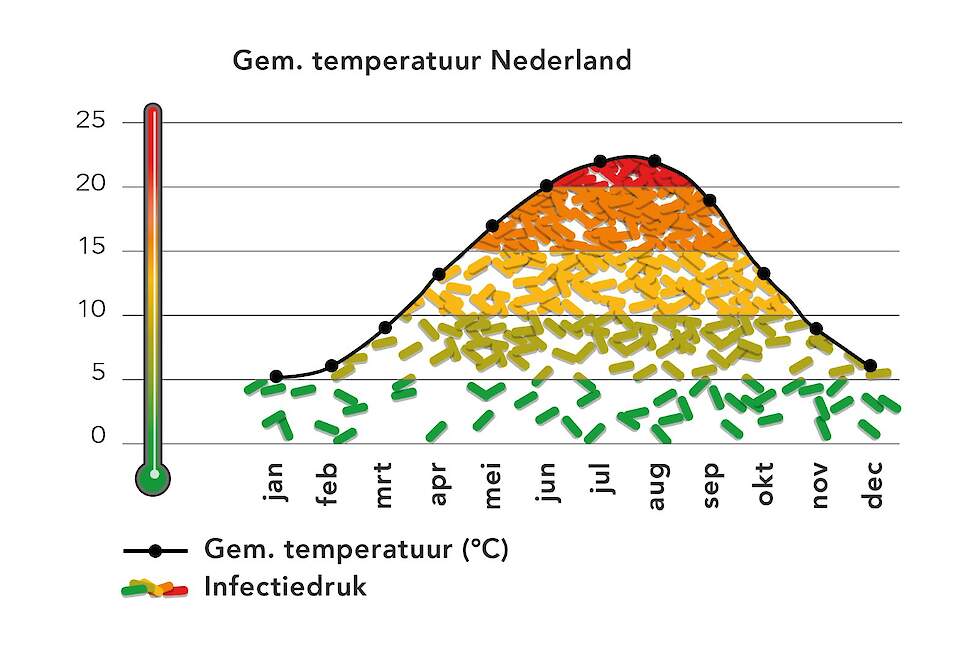 Figuur 1. Infectiedruk in relatie tot gemiddelde temperatuur in Nederland