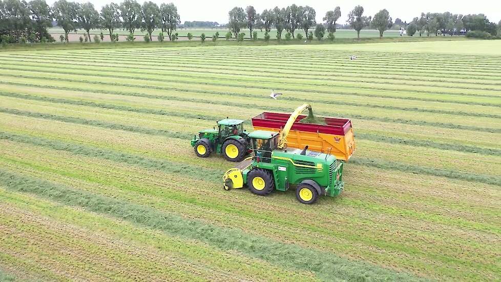 Maaien en hakselen van de tweede snede gras van 2023 | v.o.f. Vijverberg, Strijen | LG Seeds