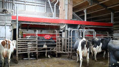 Lely hat in fünf Jahren 18.500 A5-Melkroboter verkauft |  Dairy.nl