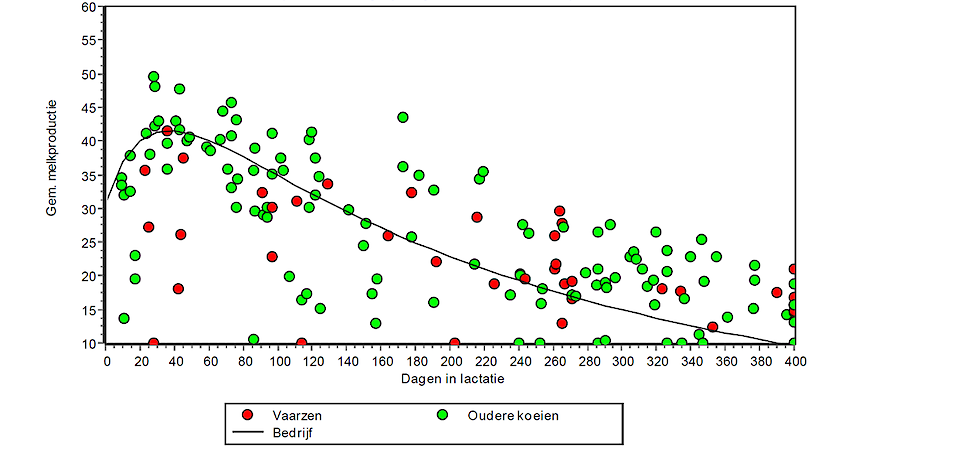 Figuur 2: De melkproductie uitgezet tegen het aantal dagen in lactatie. Na 50 dagen in lactatie dalen koeien te extreem in productie vanwege suboptimale robotinstellingen (melktoelating en melkvoer-tabel instellingen).