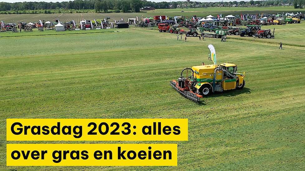 Grasdag 2023 staat in het teken van gras en koeien