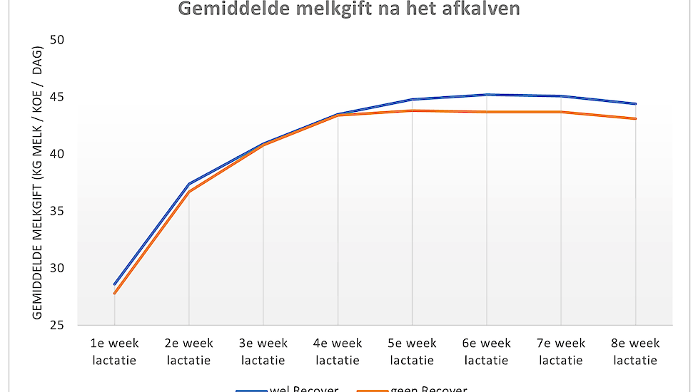 Grafiek 4. De gemiddelde melkproductie tot 8 weken in lactatie tussen de Recover-koeien en de controlegroep. De Recovergroep produceert, en dan met name vanaf week 4), meer melk dan de koeien die geen Recover hebben gekregen na afkalven.