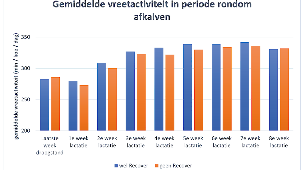 Grafiek 3. De gemiddelde vreetactiviteit in de eerste 8 weken na afkalven bij de Recover-groep en de controlegroep. Er is een duidelijk trendlijn te zien tussen de 2 groepen; tot 7 weken in lactatie tonen de Recover-koeien meer vreetactiviteit dan de cont