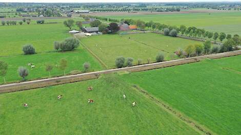 Akkerbouwgewassen groeien vaak goed na het scheuren van grasland.