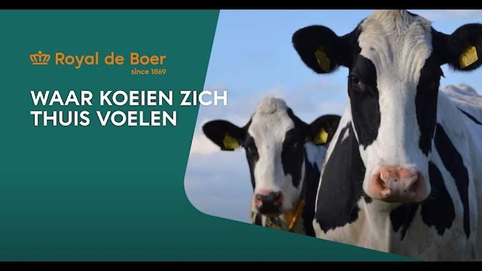 Royal de Boer Stalinrichtingen bedrijfsfilm NL