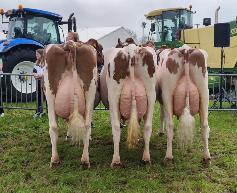 De winnende bedrijfsgroep van de familie Vosman.