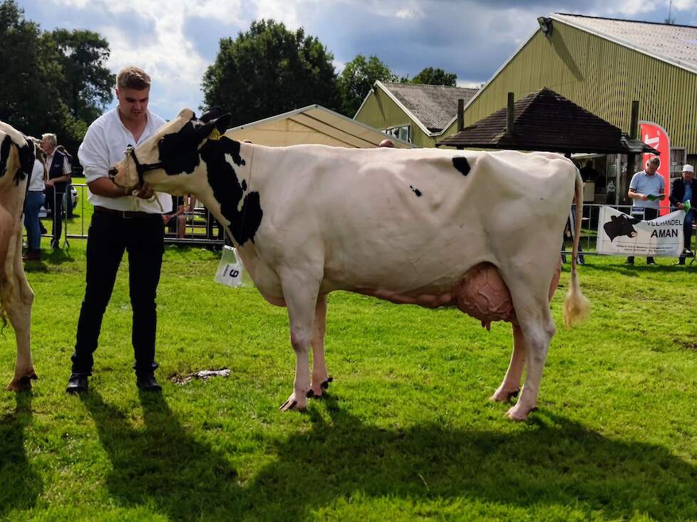 De productieklasse werd gewonnen door Sudena Leilenie 34.