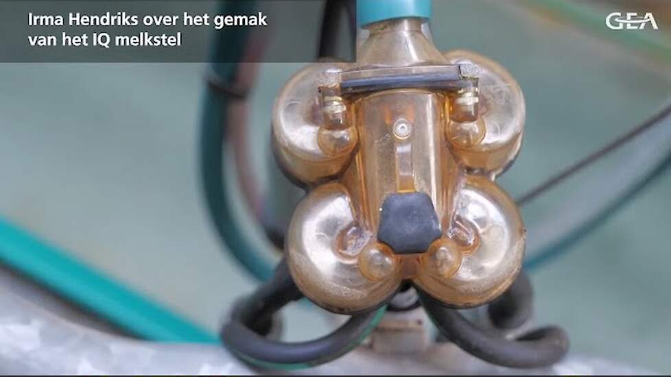 GEA Dairy Farming - Irma Hendriks over het gemak van het IQ melkstel