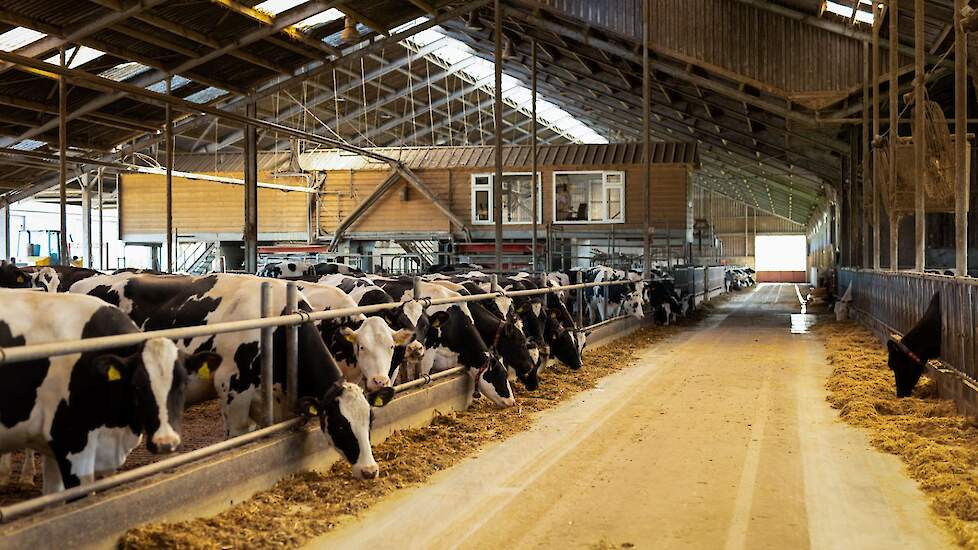 Lely › Video: ‘Wees niet bang voor automatisering, het bespaart je enorm veel tijd’
