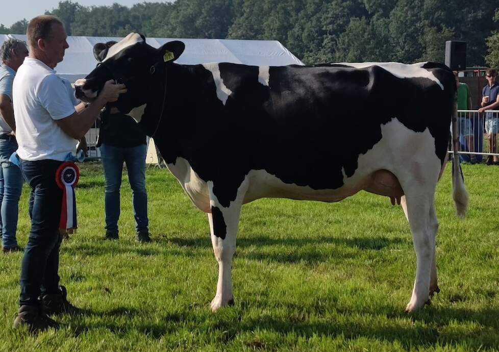 Bruninkweerd Elza 29 pakte de vaarzentitel bij de zwartbonten.