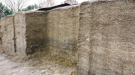 Vooral het gras wat rond de eerste week van mei gemaaid is, blijkt behoorlijk snel verteerbaar. De opname van dit gras is erg hoog.