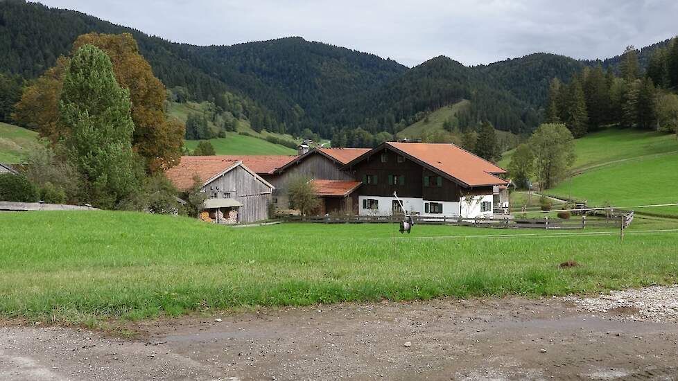 De familie Heiss ligt met haar melkveebedrijf dicht tegen de Alpen. Een prachtig omgeving maar moeilijk om te boeren. De hoogteverschillen zijn enorm zodat met aangepaste machines moet worden gewerkt. Ook de jaarlijkse neerslag van ca 2000mm maakt goed ru
