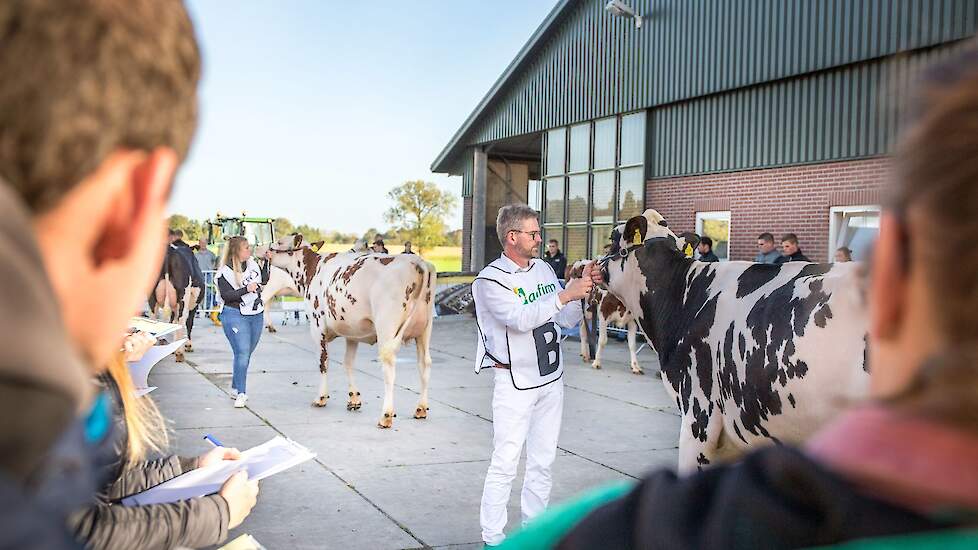 Het NK veebeoordelen 2023 werd gehouden bij de familie Aalberts in Zetten (GD).