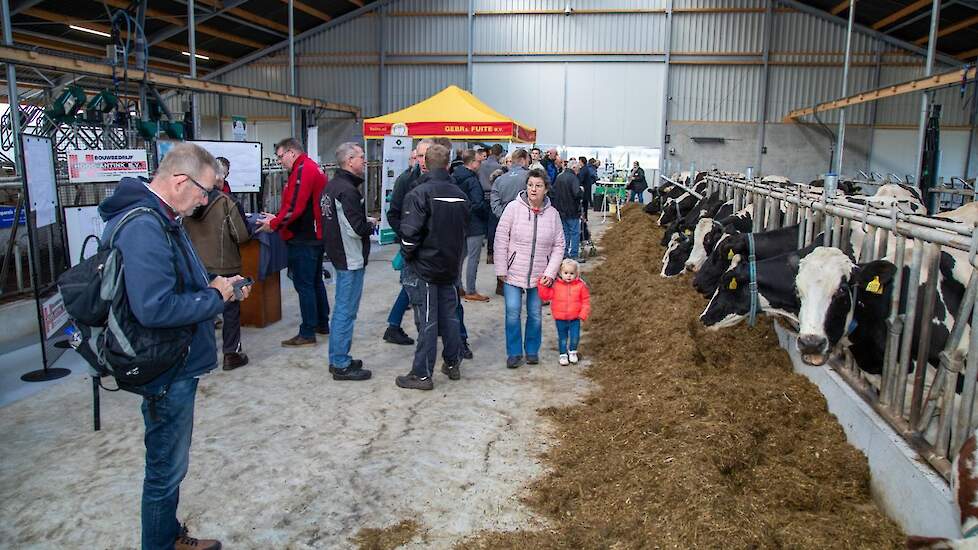 De voergang is breed. Onder de voergang wordt de urine van de urine-opvangstations in een aparte kelder opgevangen.