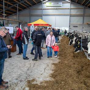 De voergang is breed. Onder de voergang wordt de urine van de urine-opvangstations in een aparte kelder opgevangen.