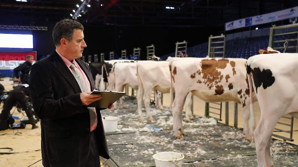 Quim Serrabassa beoordeelt de prestaties van de deelnemers. De rode pink, tweede van rechts, is DZ Mies 368 van Jade.