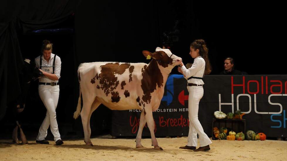 Jade betreedt de ring met haar pink DZ Mies 368.