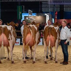 In de bedrijfsgroepencompetitie bracht de familie Pinkert een geweldige groep in de ring. Een uniforme groep jonge kwaliteitskoeien van mooi type met beste uiers en benen die beslag legde op de kampioenstitel.