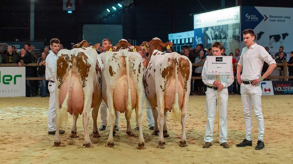 De familie Hermanussen van Barendonk Holsteins uit Beers stuurde een prachtige groep uitgezwaarde koeien de ring in. De laatste koe was net even anders dan de eerste twee qua type en dat betekende een eervolle vermelding voor de imponerende groep.