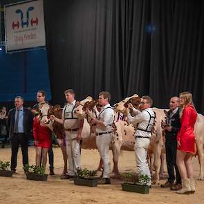 Het seniorenkampioenstrio met van links naar rechts de eervolle vermelding Bossink Gerda 64, reservekampioene Niemeijers Johanna 39 en kampioene Irma 68.