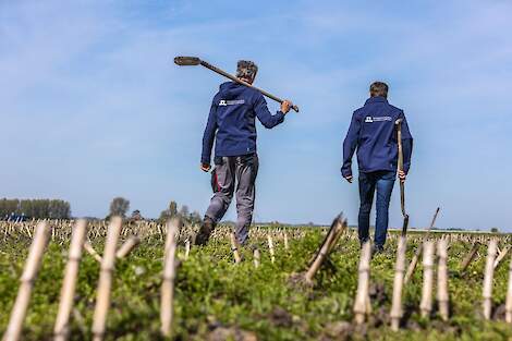 Broers Koopman zijn blij dat ze het Bedrijfsbodemwaterplan hebben doorgezet.