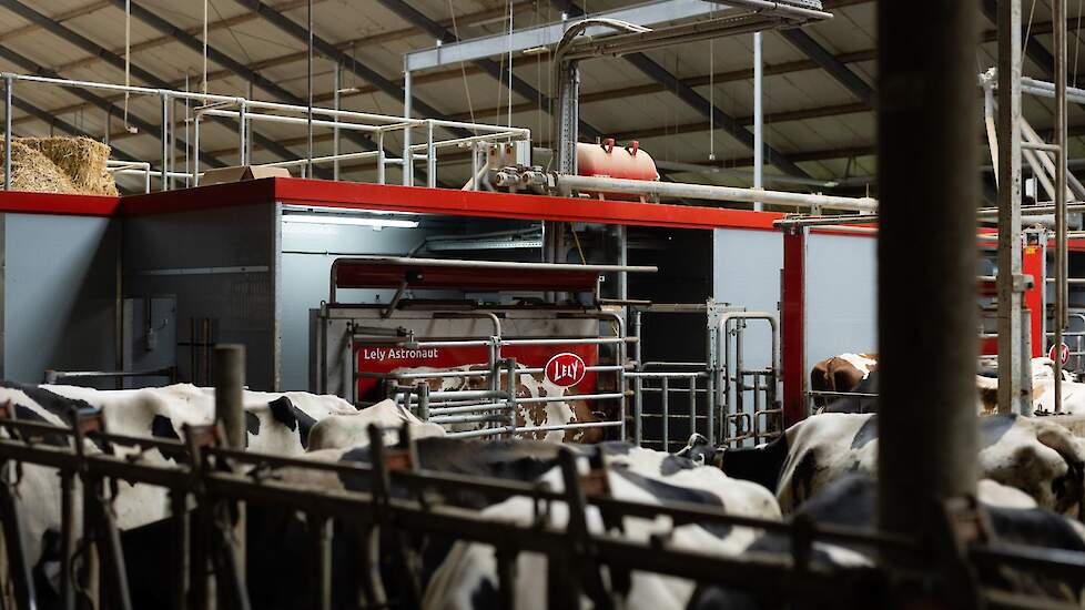 Lely › Meer melk in de tank bij veebedrijf Koepon
