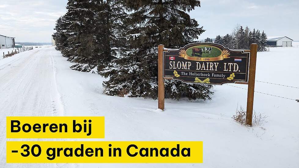 Boeren bij -30 graden in Canada