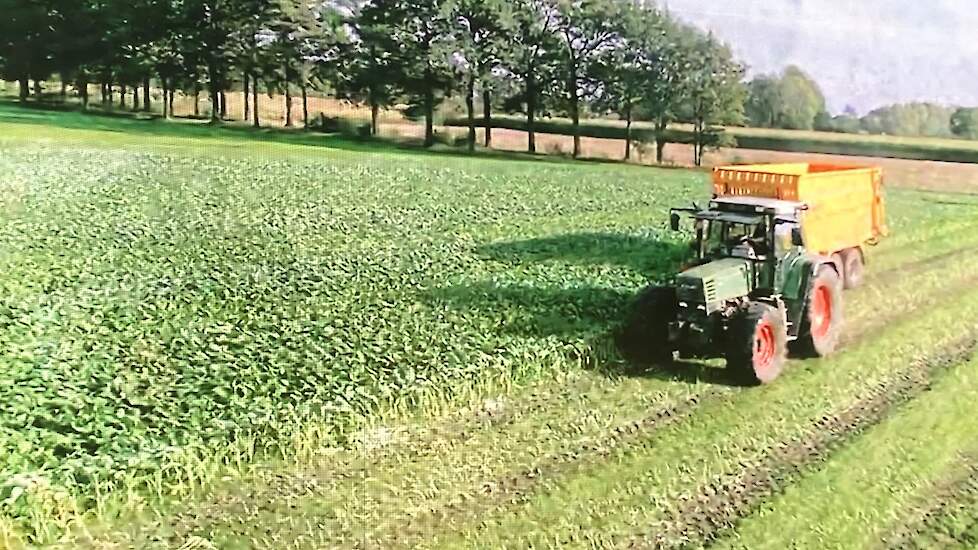 De familie Witvrouwen uit het Vlaamse Kasterlee schafte vorig jaar een maaiwagen aan (zie foto). De familie voert bladkool met Italiaans raaigras vers aan hun koeien.