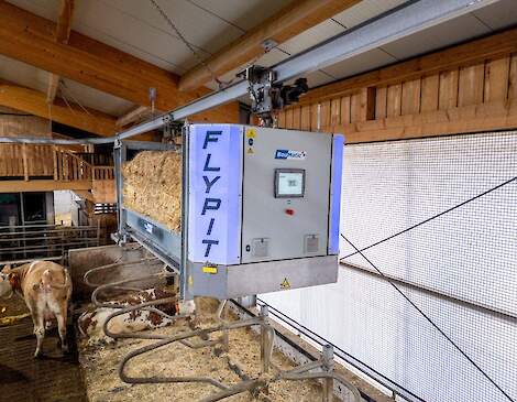 Instrooirobot FlyPit aan het werk in de melkveestal