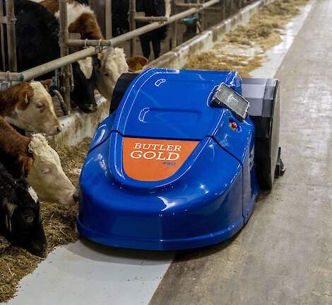 Voeraanschuifrobot Butler Gold Pro aan het werk in de melkveestal
