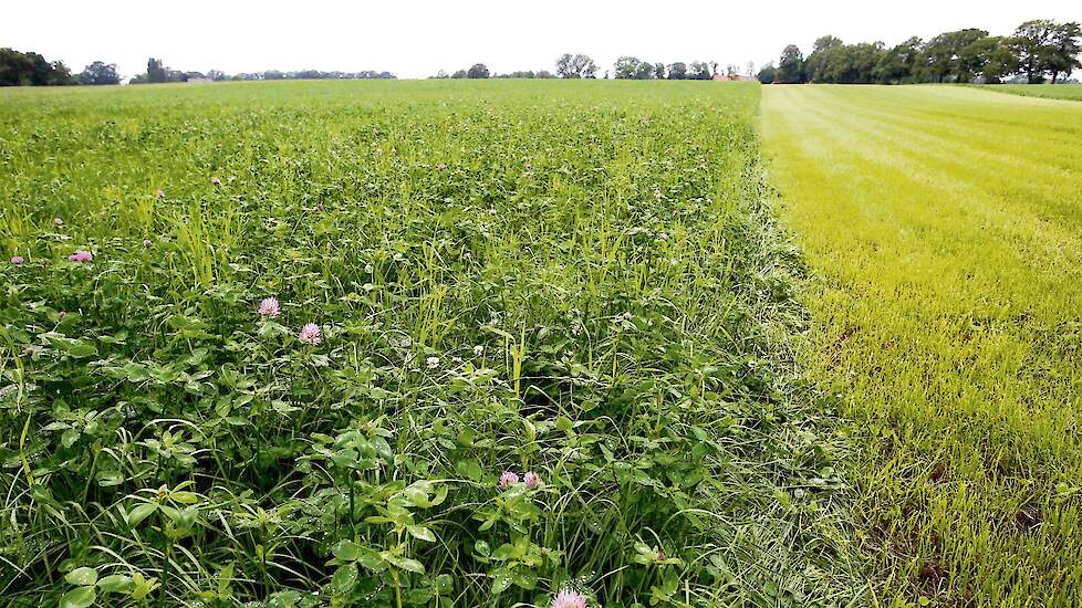 Het advies luidt om blijvend grasland zoveel mogelijk blijvend grasland te houden. Door maïsland drie jaar te roteren met grasklaver, wordt een optimale stikstofbenutting gerealiseerd.