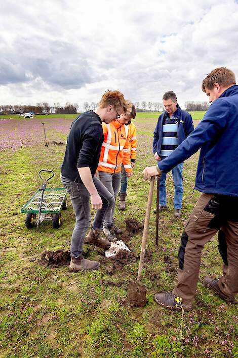 Peilbuis plaatsen in veenweidegebied in Zuid-Holland