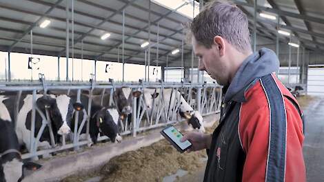 Klaas Pieter Mulder in zijn stal op de CowManager app