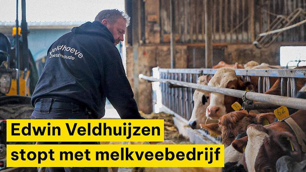 Melkveehouder stopt: 'Dat ik de laatste ben van al die generaties, dat doet natuurlijk wel wat'