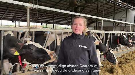 Heemskerk Dairy - Celgetal Challenge