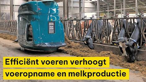 Efficiënt voeren verhoogt voeropname en melkproductie