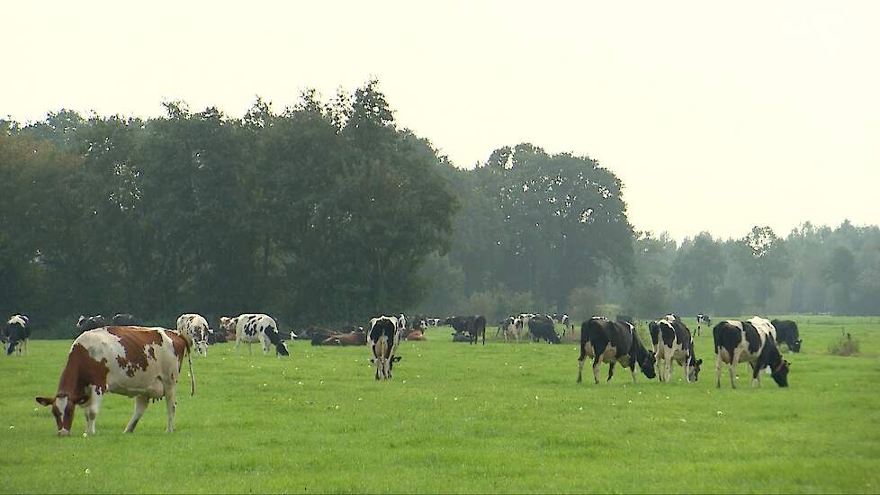 Noodkreet van een kringloopboer