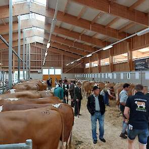 Zuchtverband Miesbach heeft 10 jaar geleden een nieuwe veilinghal gebouwd. De organisatie verkoopt jaarlijks 4.056 stuks Fleckvieh pinken, dekstieren en koeien. Een groot deel van de Fleckvieh koeien gaat via Veehandel Kuenen naar Nederland. Daarnaast wor