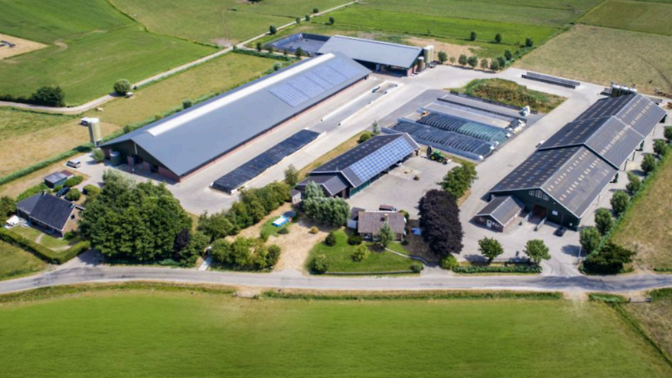 Gelderland zet melkveebedrijf in Doornspijk opnieuw in de verkoop: koper met minste stikstofneerslag