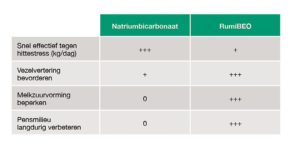 RumiBEO vs natirumbicarbonaat