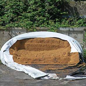 Naast kuilgras krijgen de koeien onder andere 4 kilo SodaGrain (met natronloog ontsloten tarwe) voorgeschoteld.