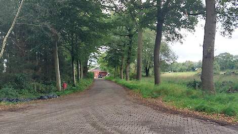 Haaksbergen wil dat melkveehouder meteen 60.000 euro op tafel legt: 'De gemeente is er klaar mee'