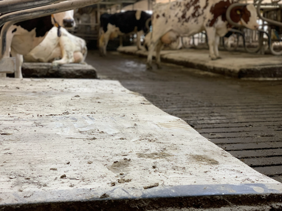 Bedding FX op ligmatten