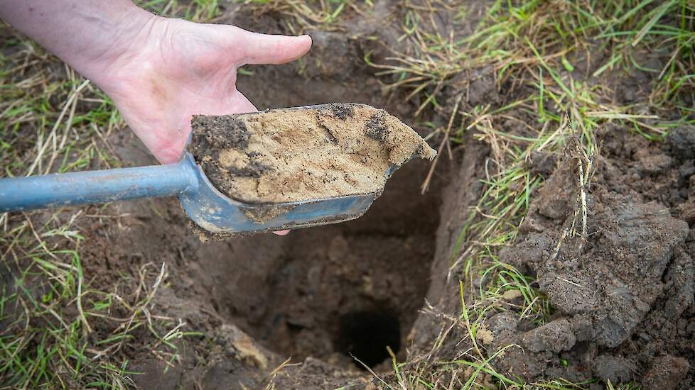 Deltaplan Agrarisch Waterbeheer › Onafhankelijk bodemadvies gaf doorslag bij melkveehouder Jan