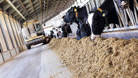 “Kijk eens wat vaker in de voermengwagen”