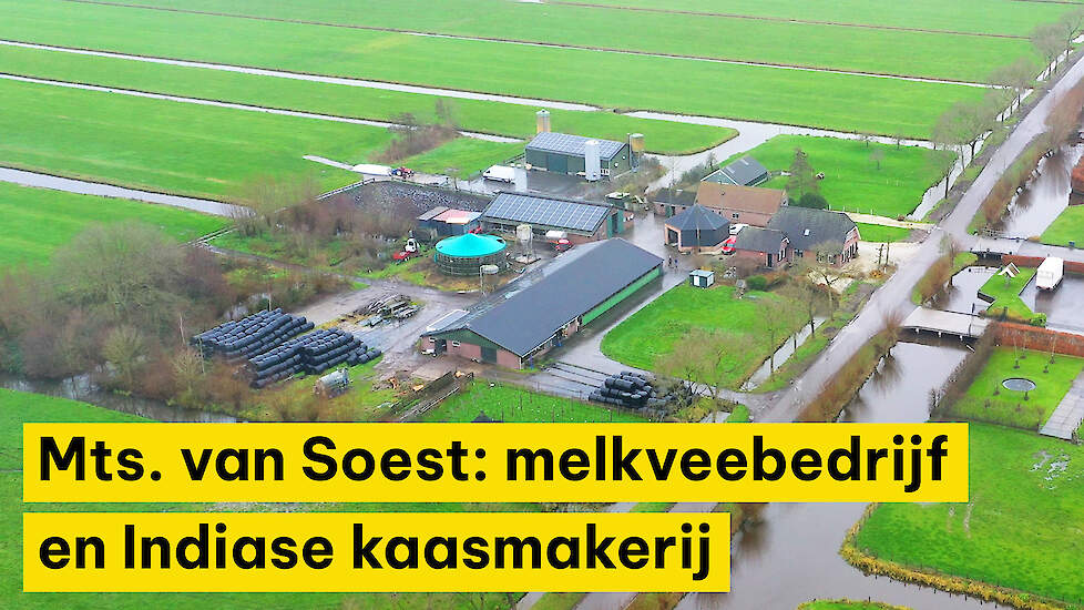 Van Soest: ‘We zijn trots dat we altijd onze eigen koers zijn blijven varen’