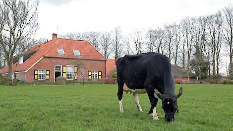 Inschrijving Beste Boerenkoe Verkiezing verlengd tot 27 januari