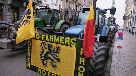 Borging Belgisch decreet als voorbeeld
