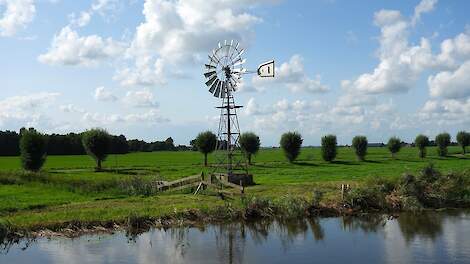 Windmolen op veenweidegebied